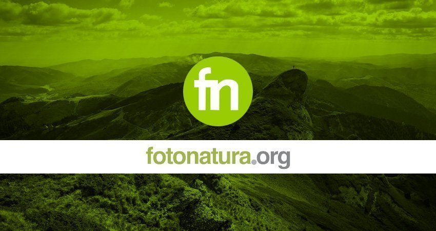 Fotonatura.org – 15 años dedicados a la fotografía de naturaleza